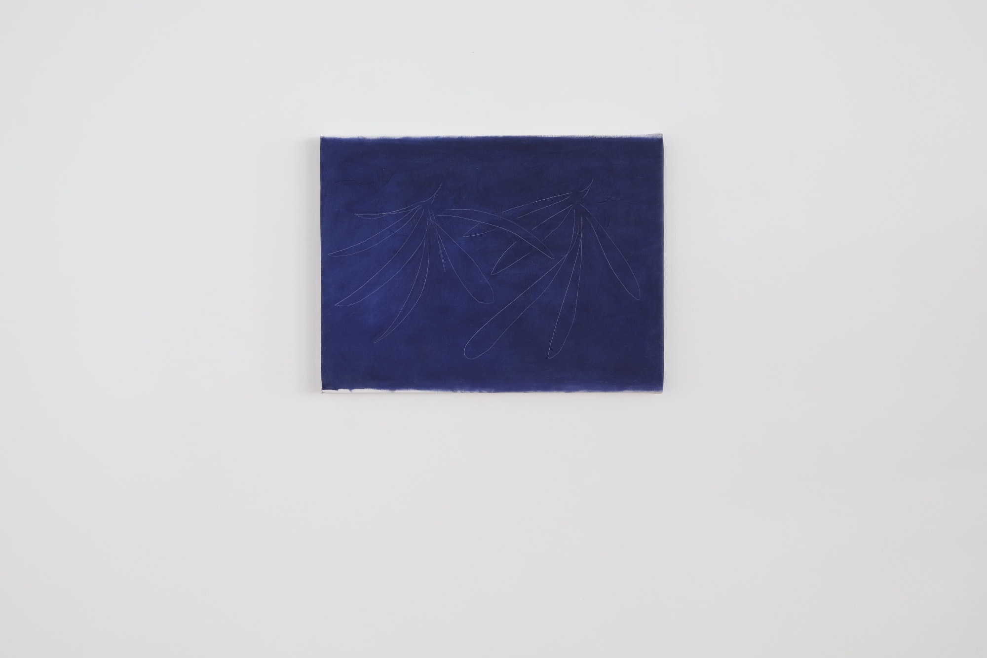 Tom Blake: index of a stream.