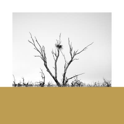 James Tylor: Economics of Water