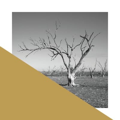 James Tylor: Economics of Water