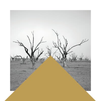 James Tylor: Economics of Water