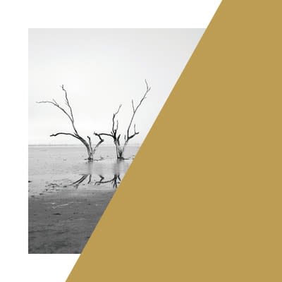 James Tylor: Economics of Water