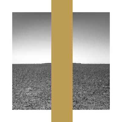 James Tylor: Economics of Water