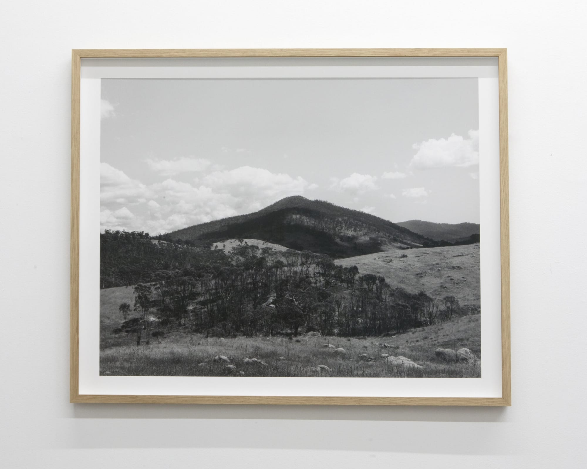 Rebecca Selleck & James Tylor: Inhabiting