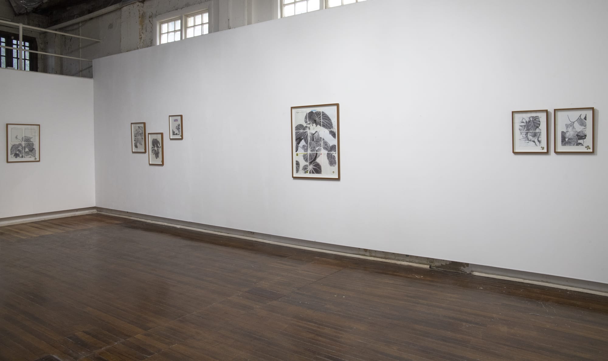 Neva Hosking: The Last Garden on Loftus Crescent.