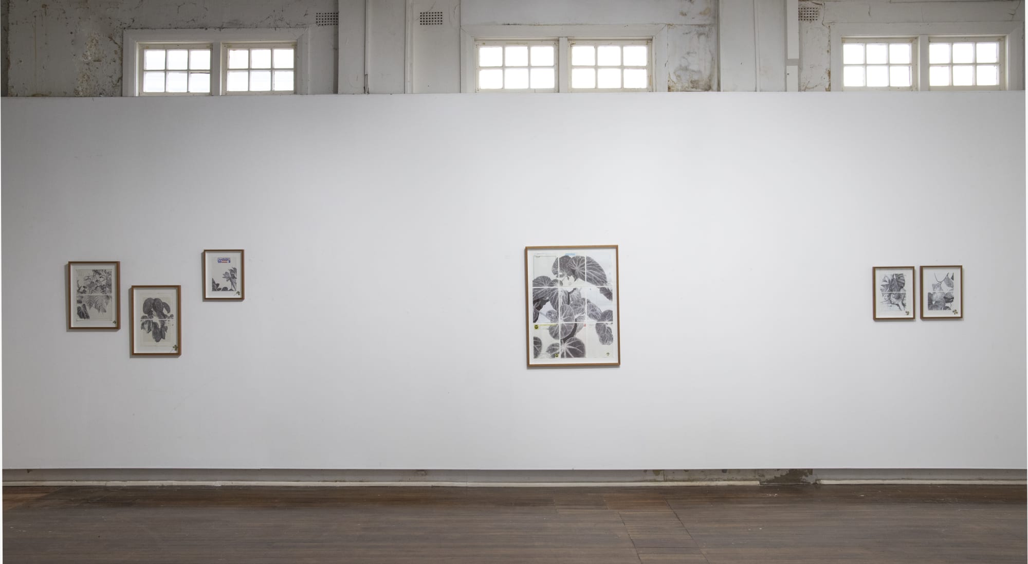 Neva Hosking: The Last Garden on Loftus Crescent.