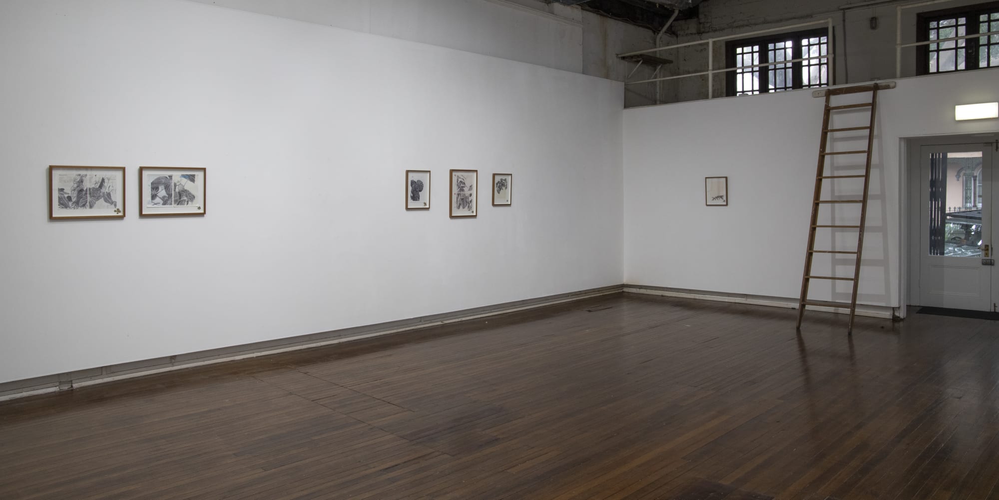 Neva Hosking: The Last Garden on Loftus Crescent.