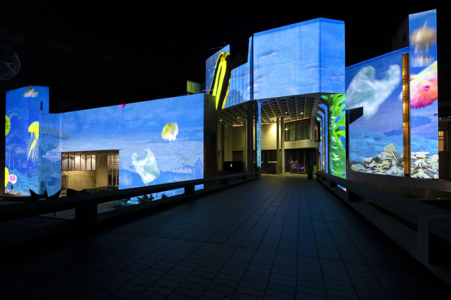 Joan Ross: Collector’s Paradise