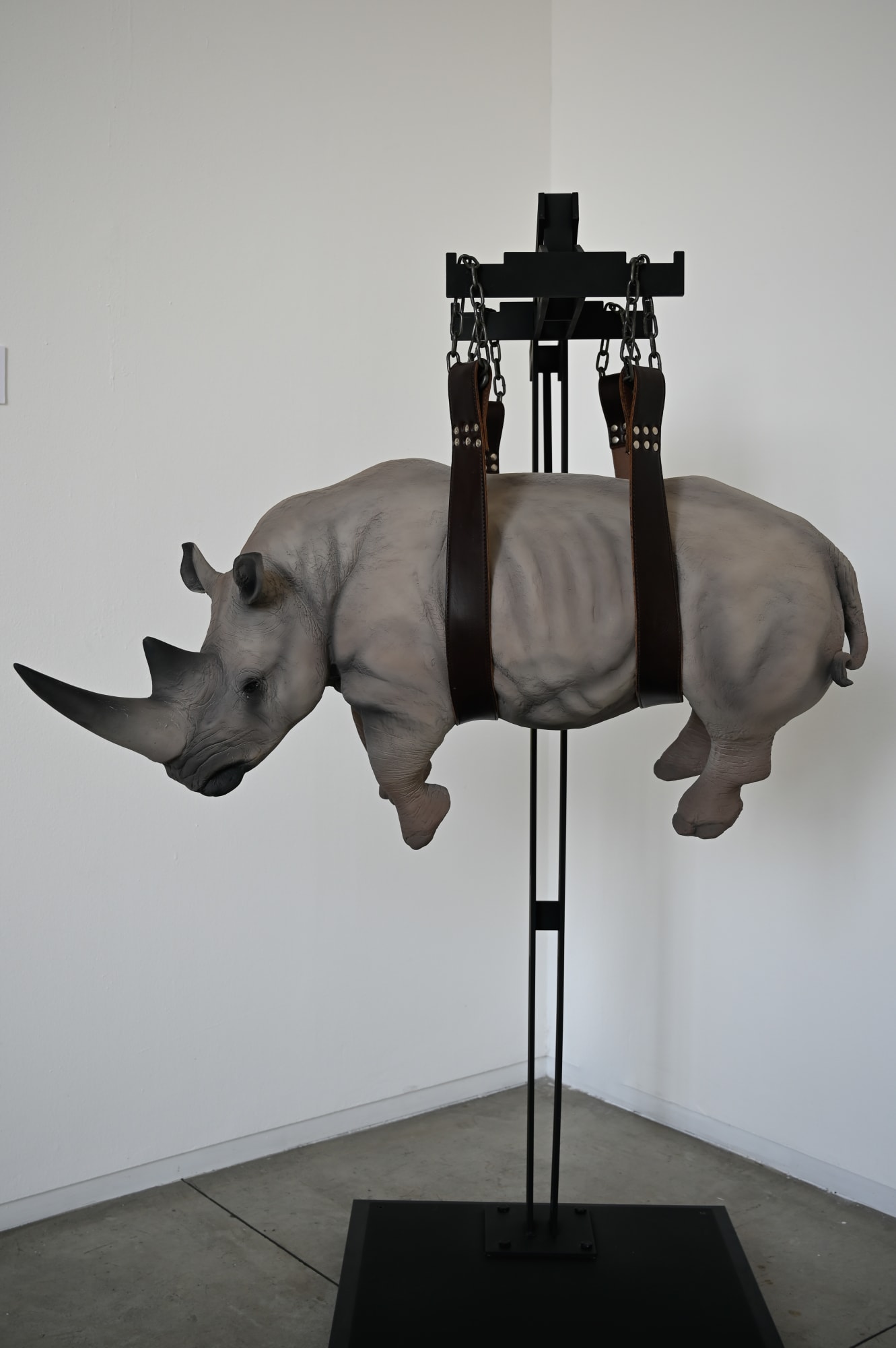 Surprise! L' Arte racconta