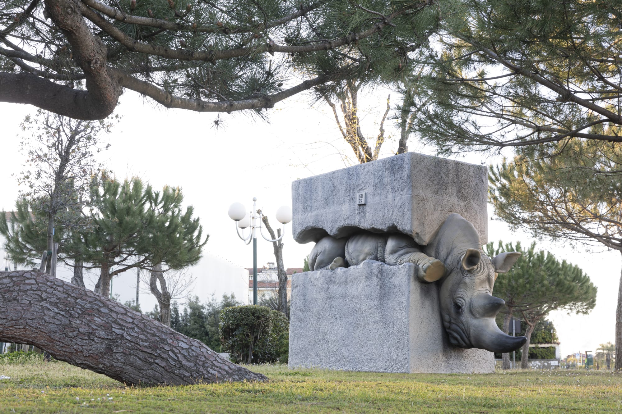 Bombardieri e Altri Animali