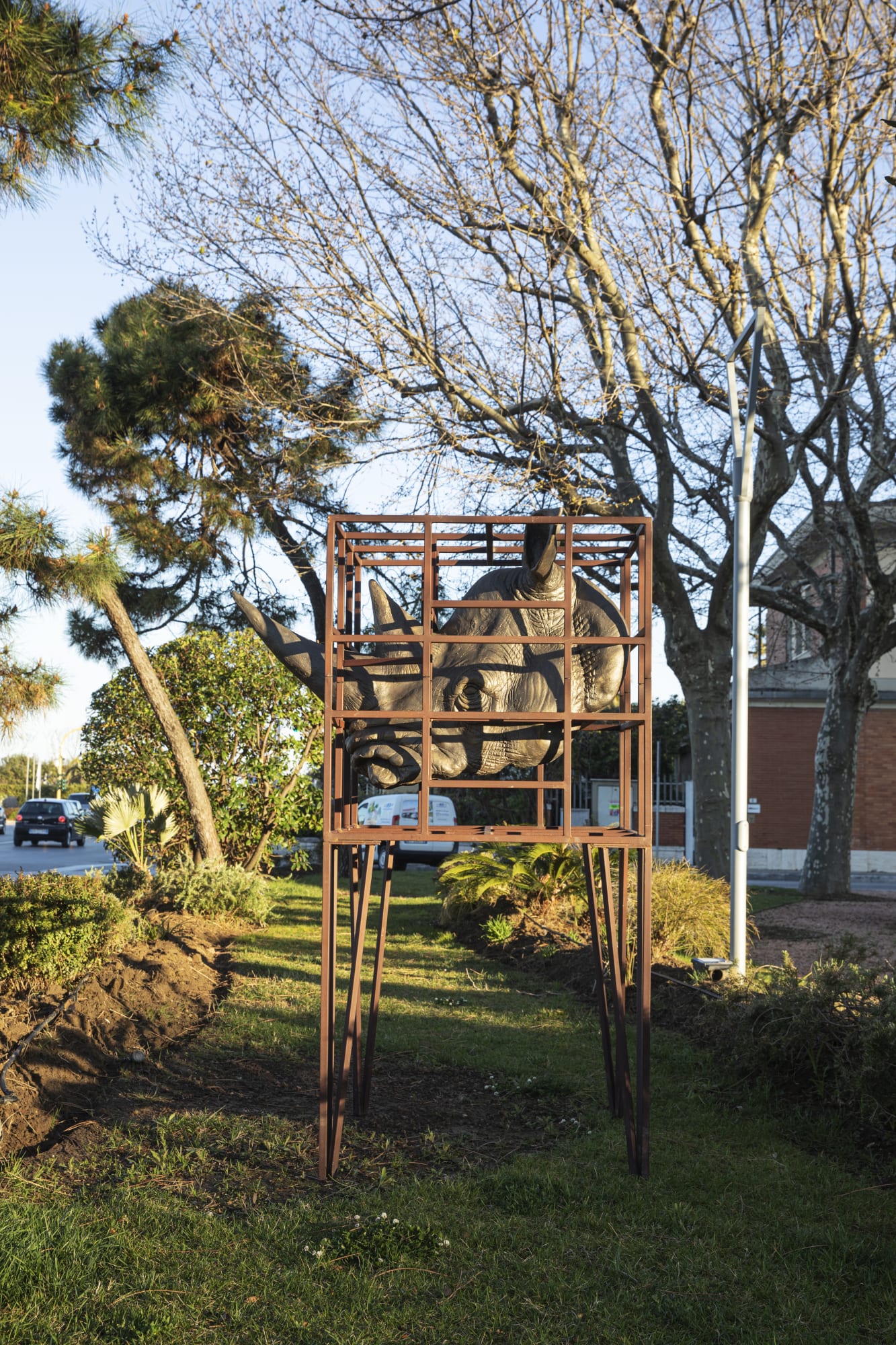 Bombardieri e Altri Animali