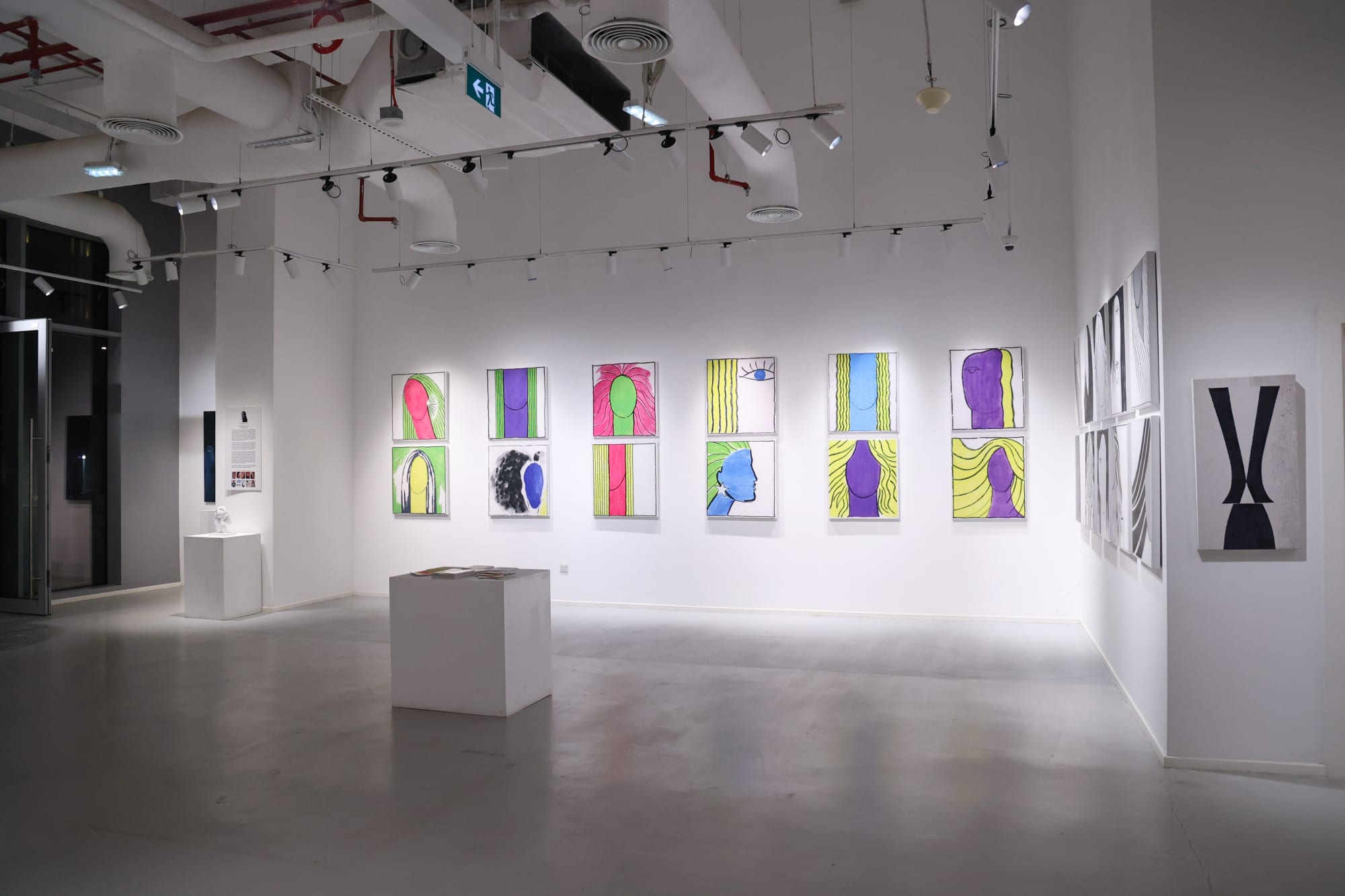 Flavio Lucchini, HAIR