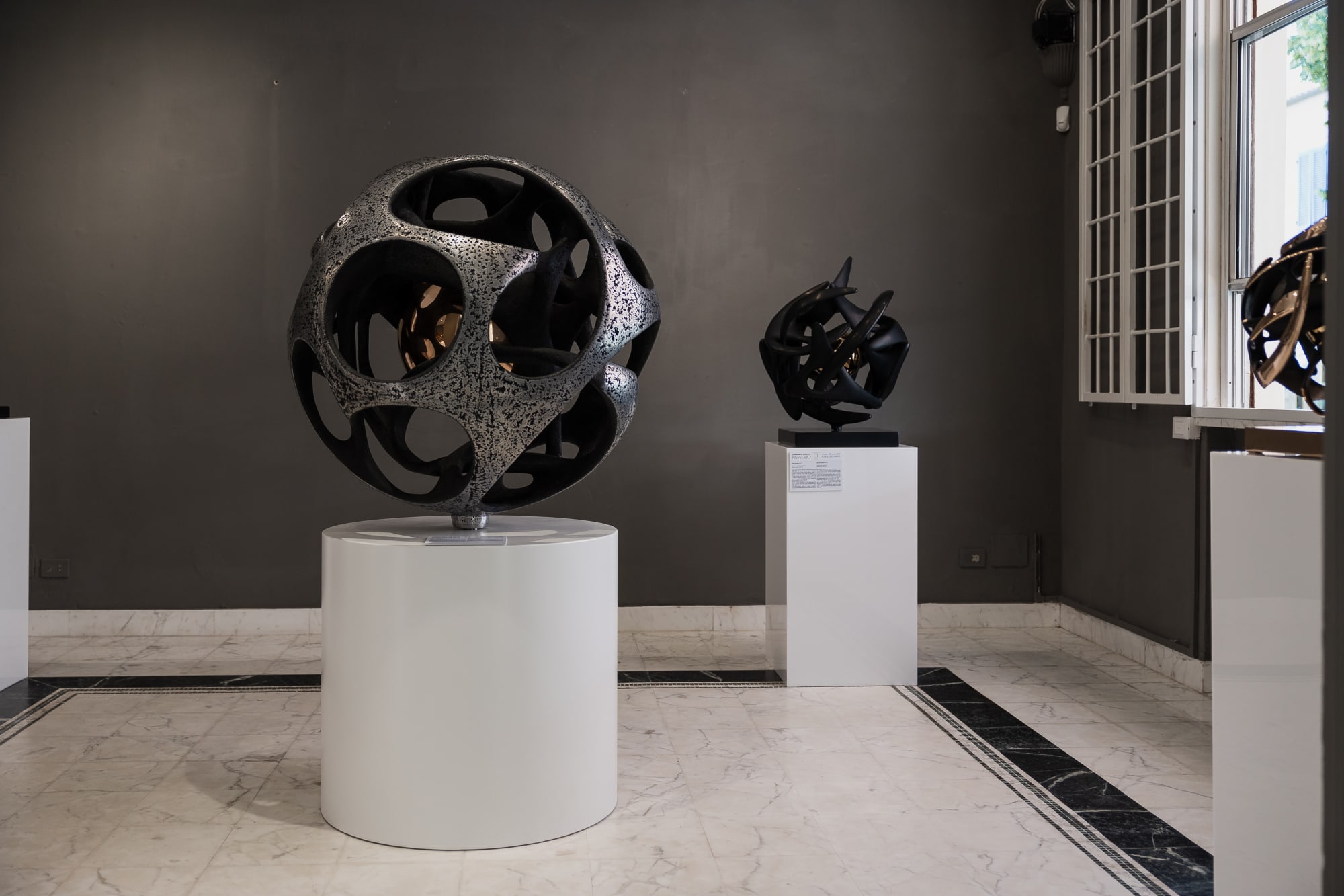 Gianfranco Meggiato | "Risveglio"