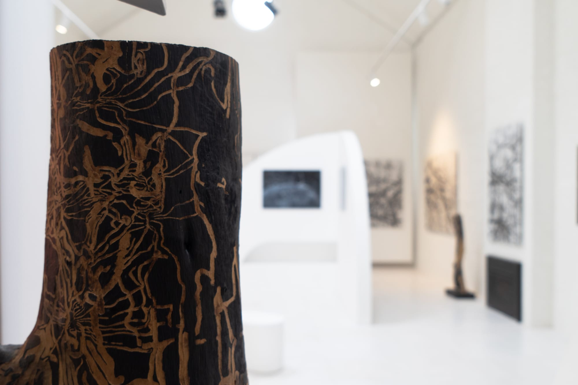 KIM WESTCOTT: CHICANE