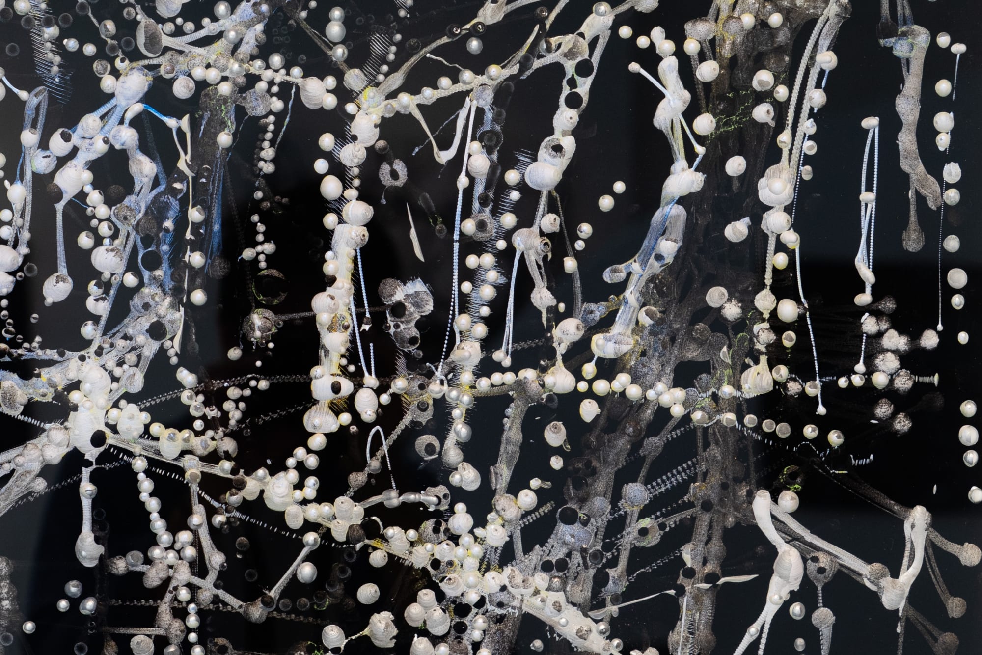 KIM WESTCOTT: CHICANE