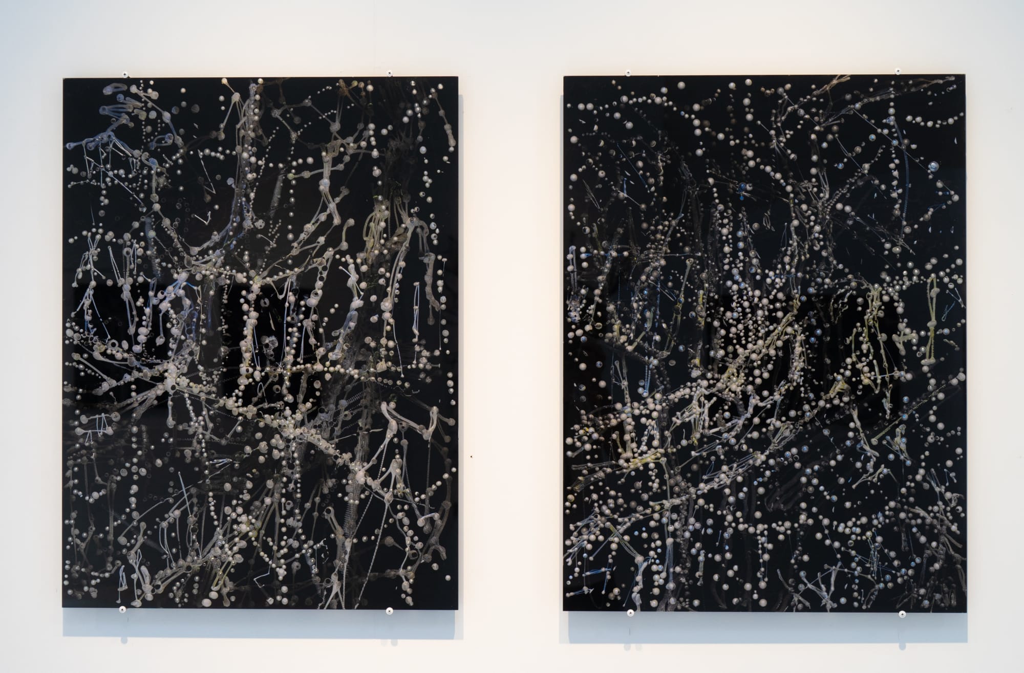 KIM WESTCOTT: CHICANE