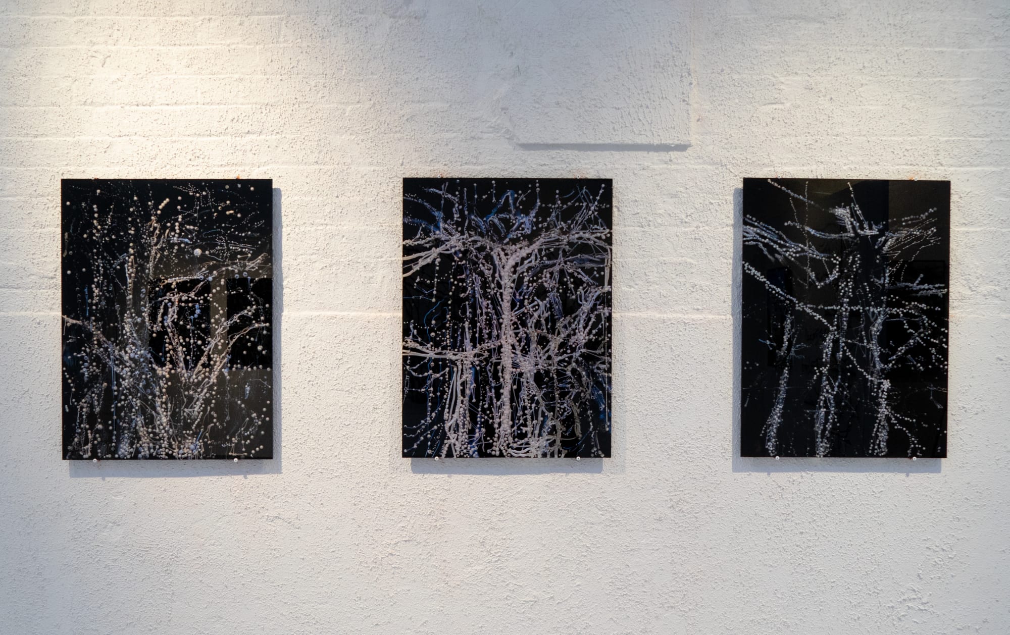 KIM WESTCOTT: CHICANE