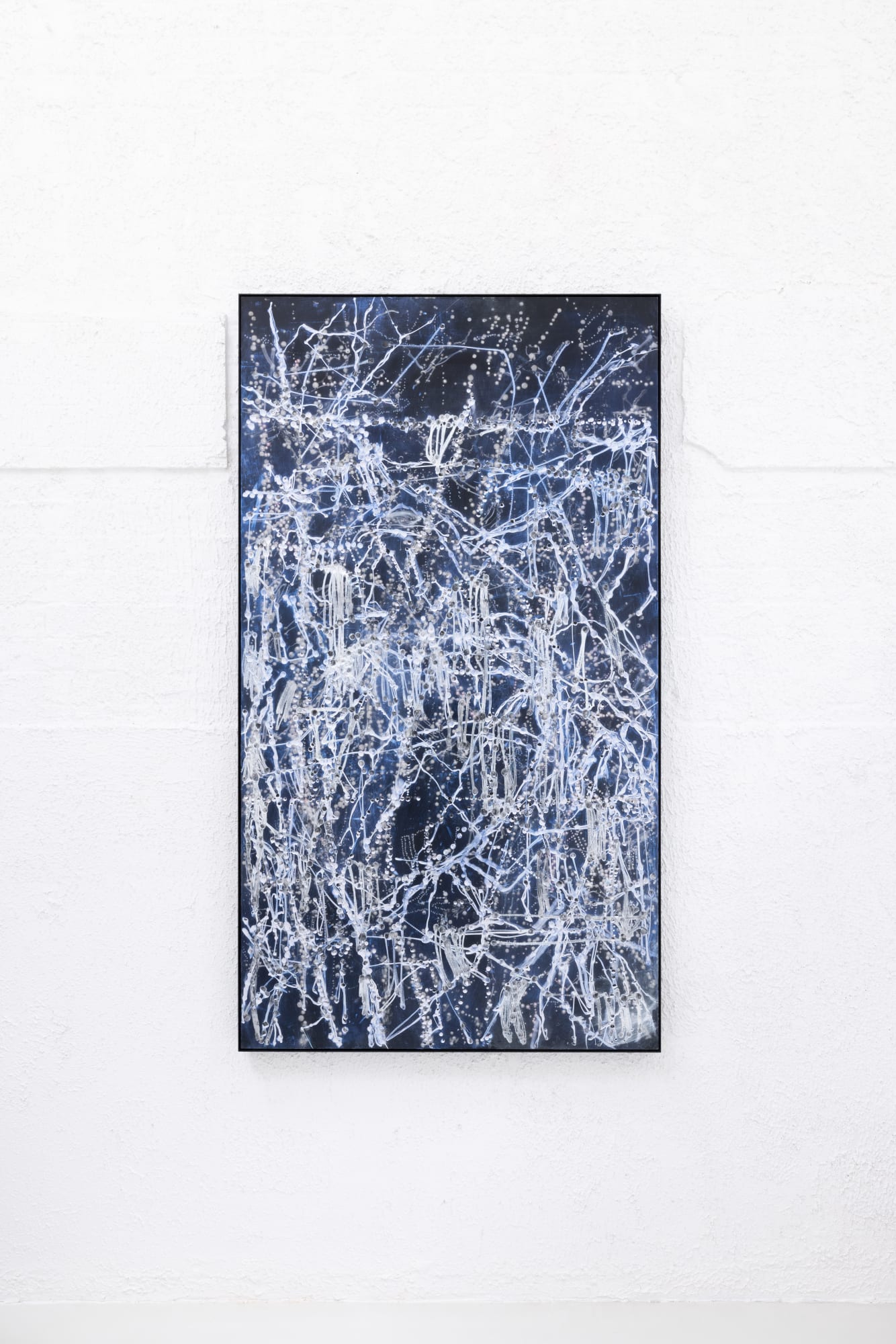 KIM WESTCOTT: NATURE OF NATURE