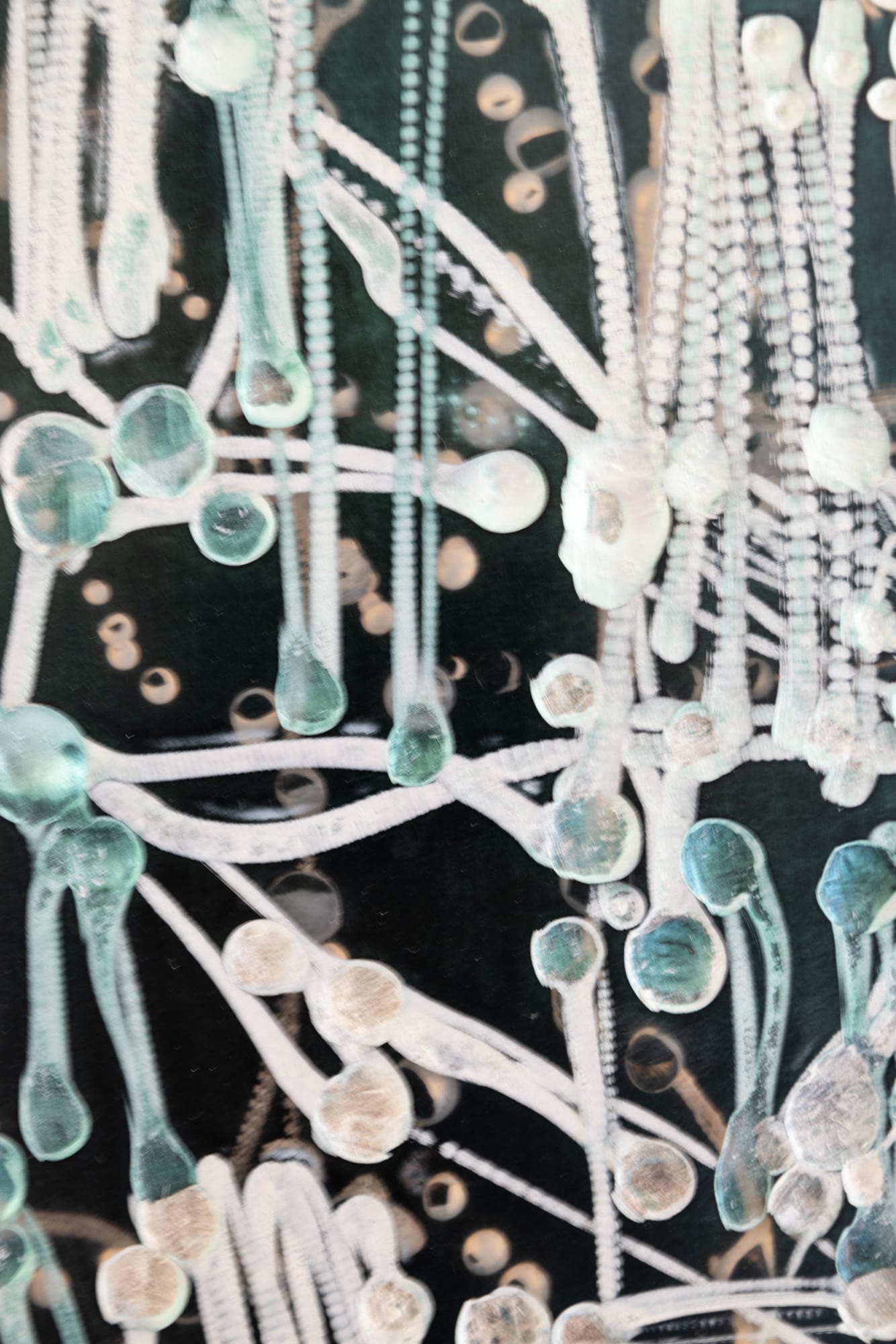 KIM WESTCOTT: NATURE OF NATURE