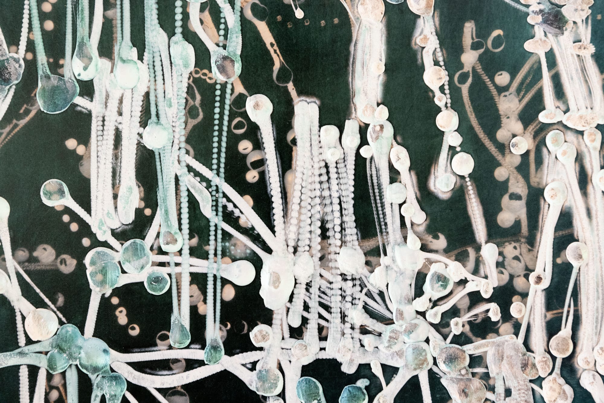 KIM WESTCOTT: NATURE OF NATURE