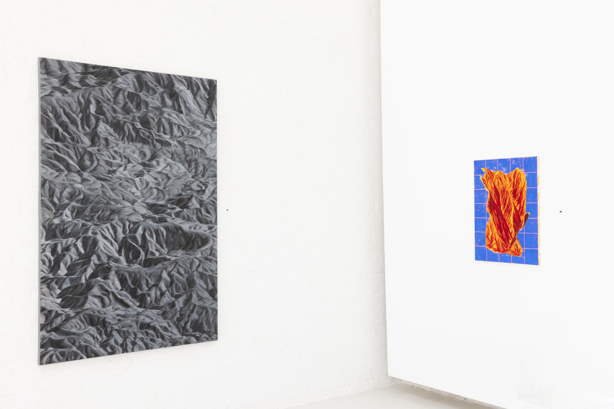 PIERS GREVILLE: OBJECTS IN THE MIRROR