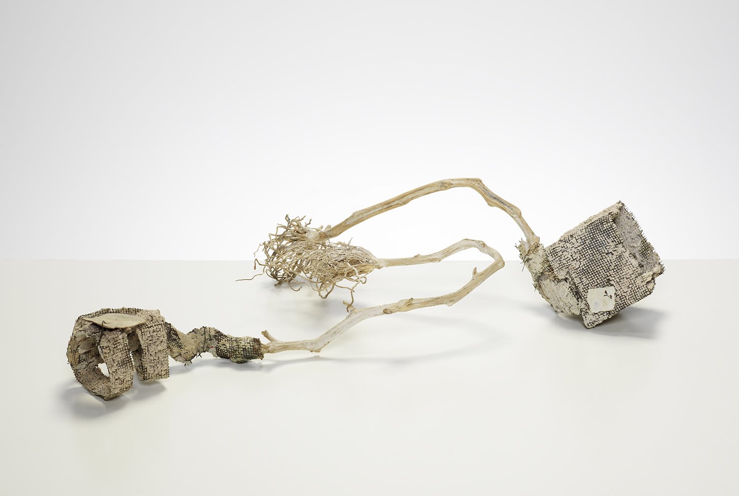 Works in Clay: The Anthony Shaw Collection