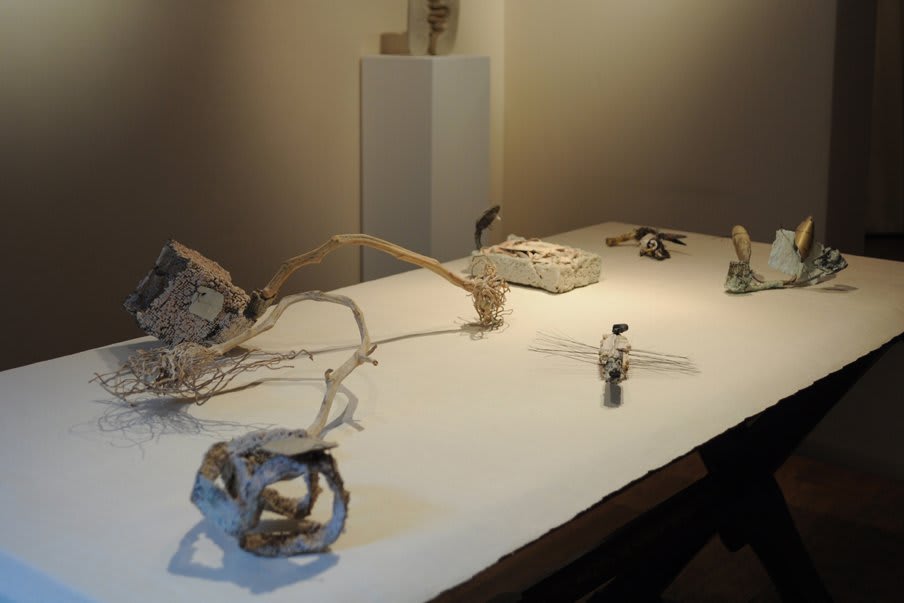 Works in Clay: The Anthony Shaw Collection