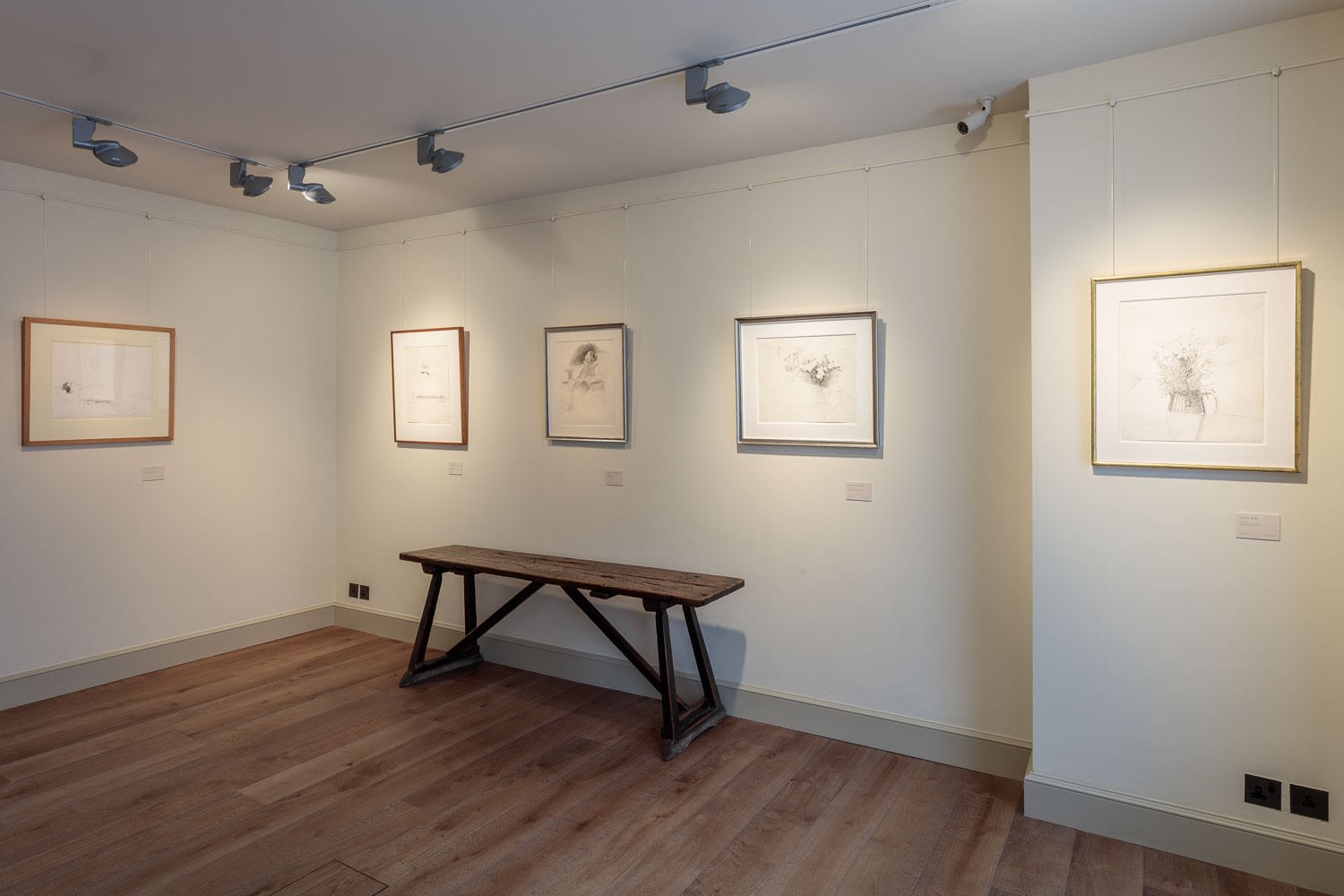 David Hockney, Early Drawings