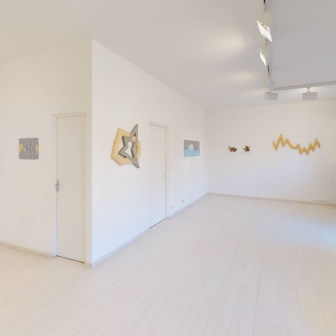 Olivier Petiteau, Travaux récents - exposition Oniris 2020