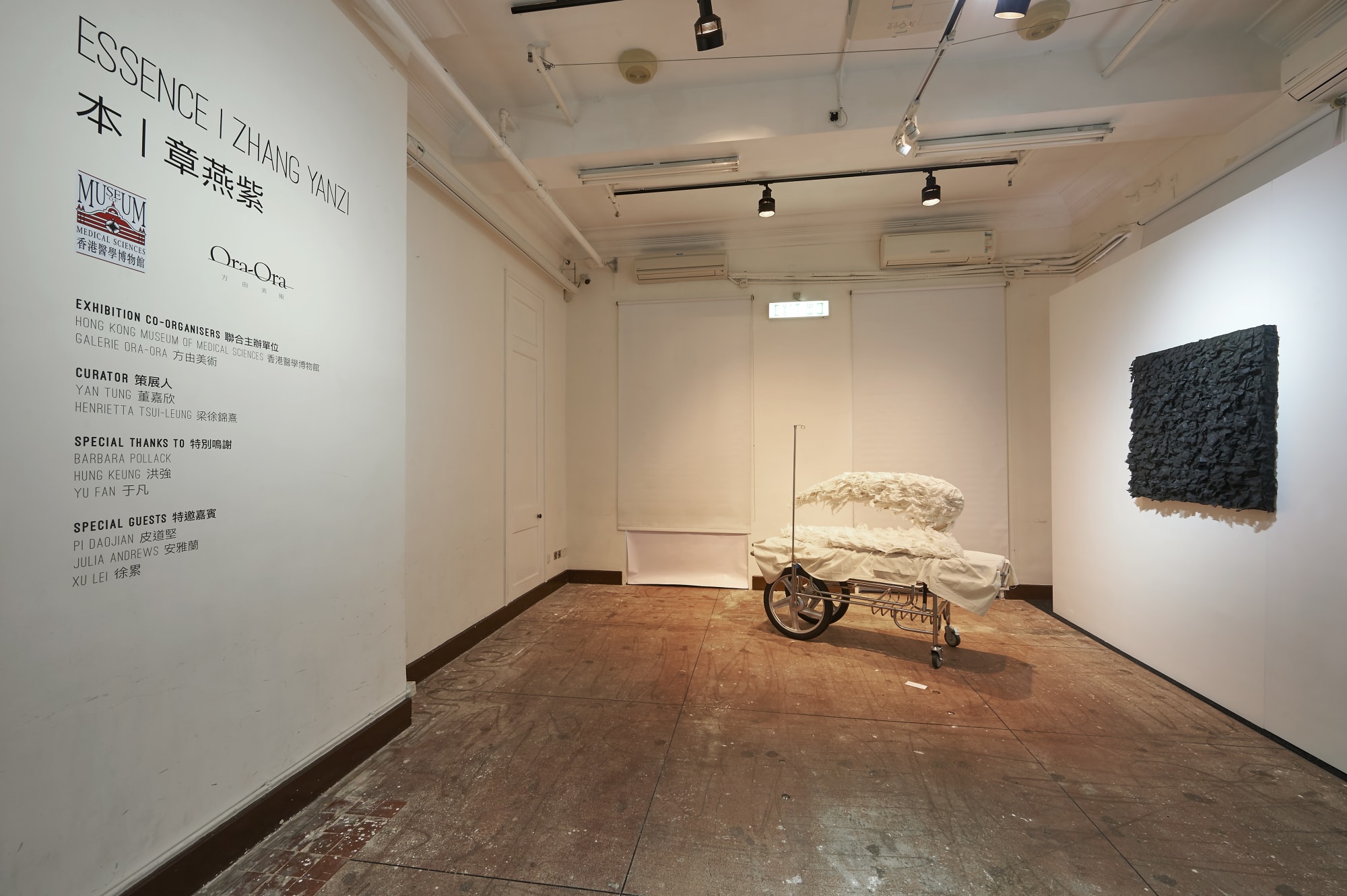 Essence - Zhang Yanzi Solo Exhibition at HKMMS