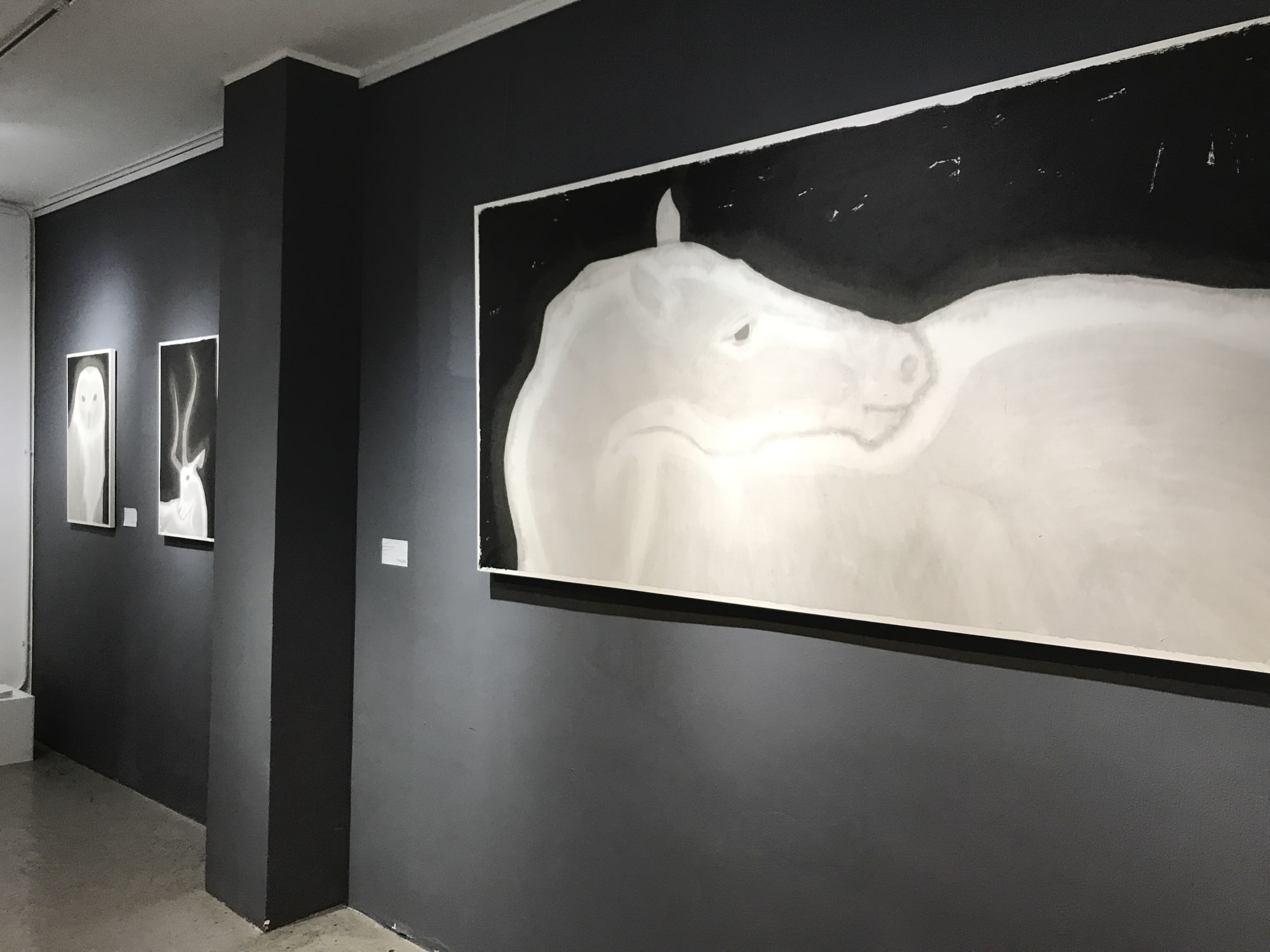 Boundary - Huang Dan Solo Exhibition