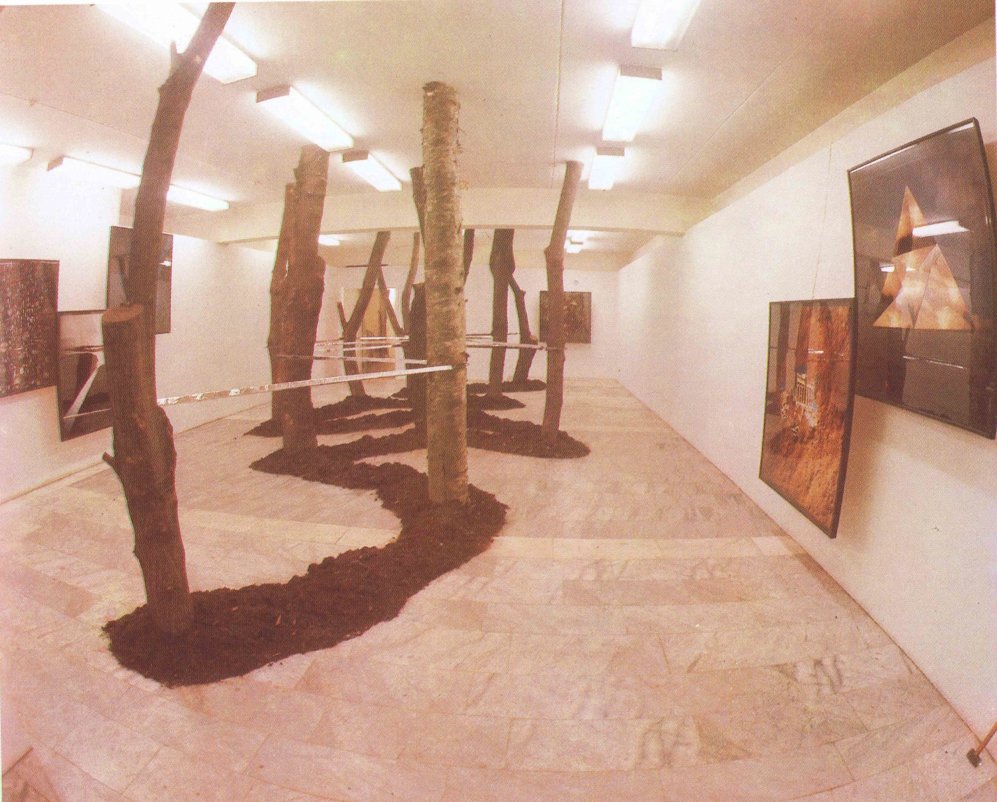 Fransisco Infante Machine in the Forest, 1988-1991