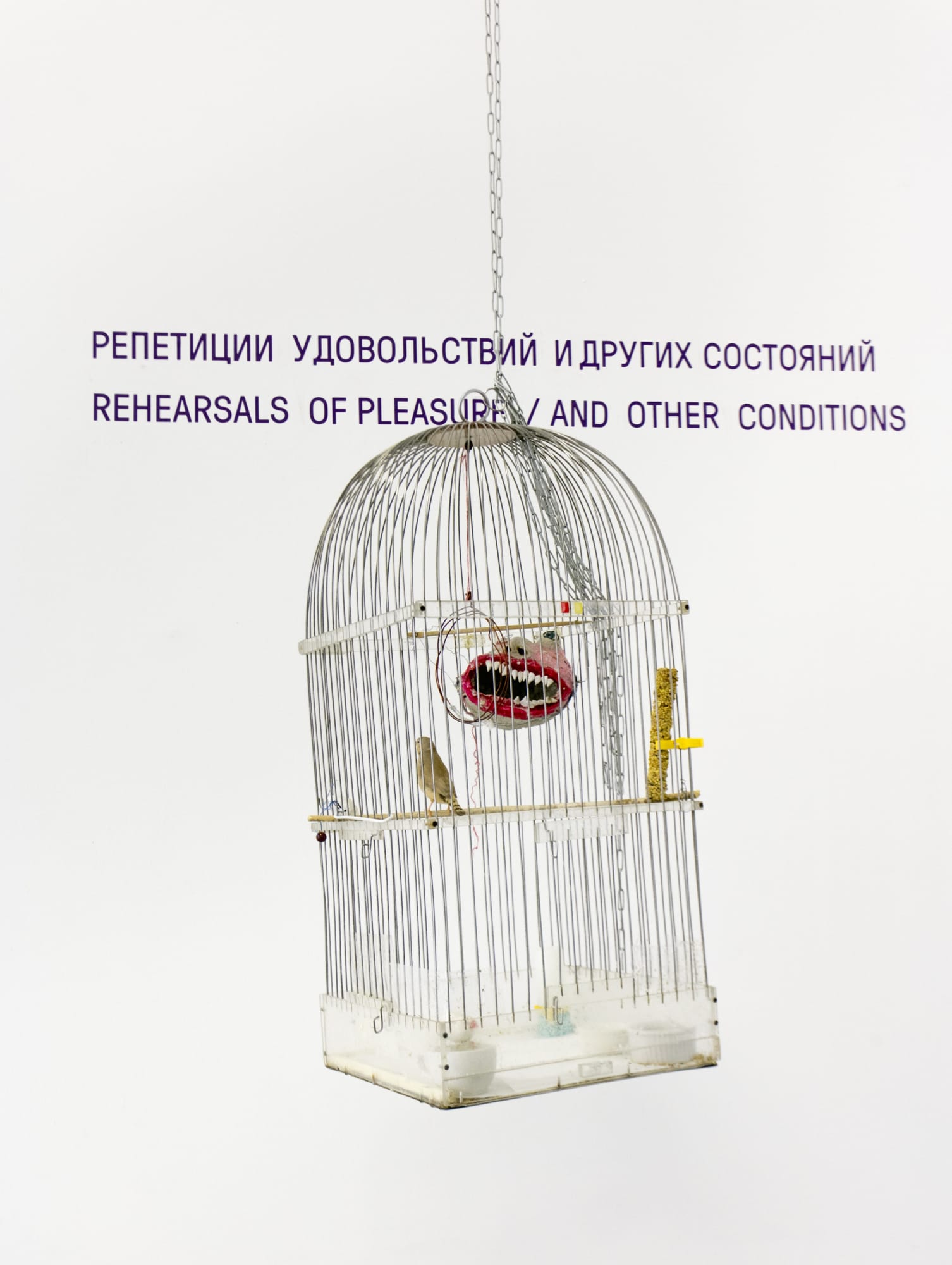 Mikhail Ptitsyn Biomodel. Birds singing gnesd, 2018