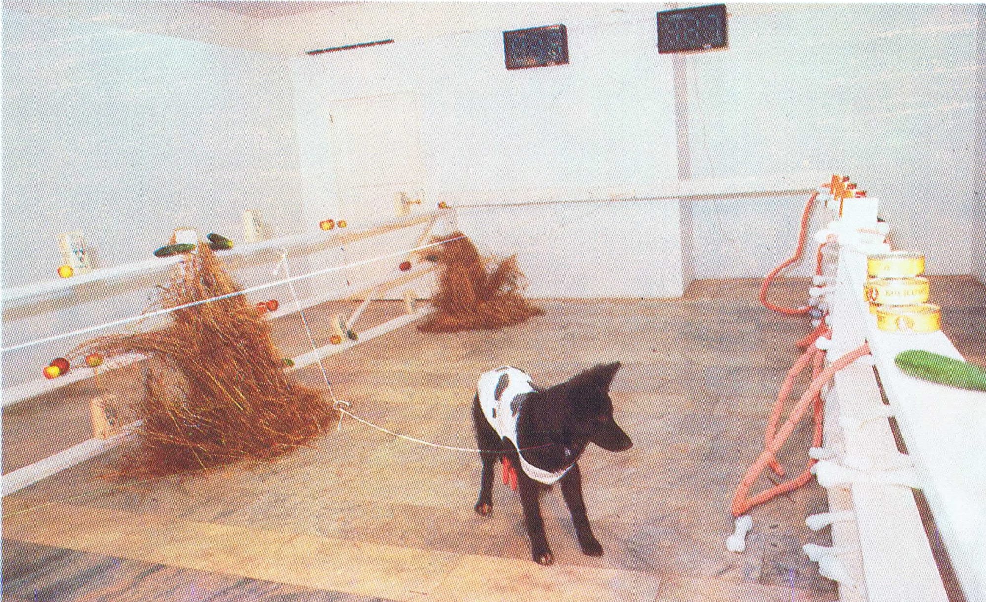 Vadim Fishkin The Dog (the Cow) named Bastille, 1992