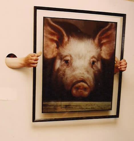 The Apology of Remaining Behind the Wall, or First Hand Art