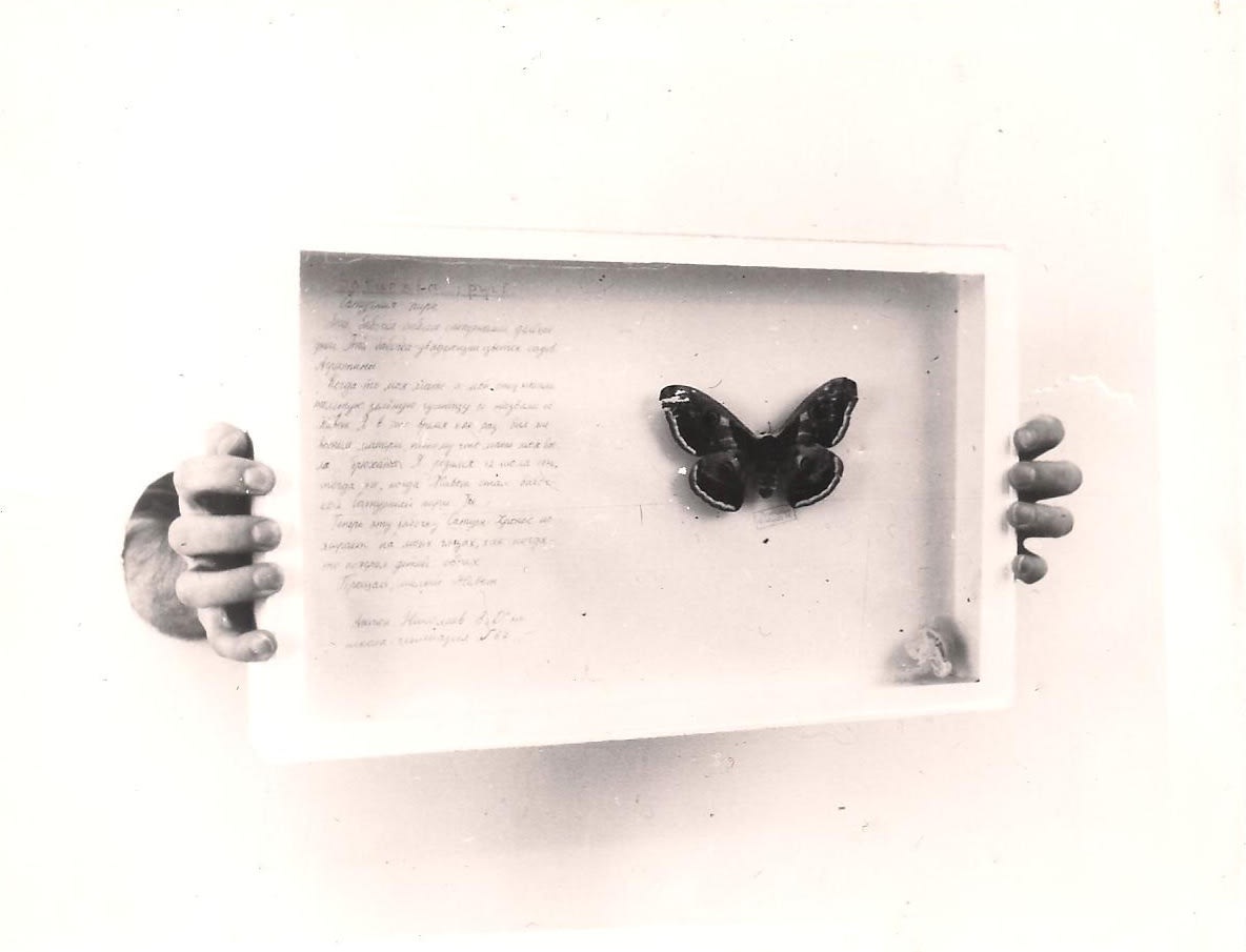 The Apology of Remaining Behind the Wall, or First Hand Art