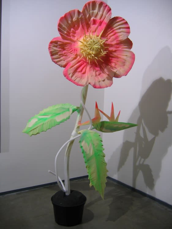 Porolon (Sergey Shekhovtsov) Spirea bilarda from the series "Tsvetaevo", 2005