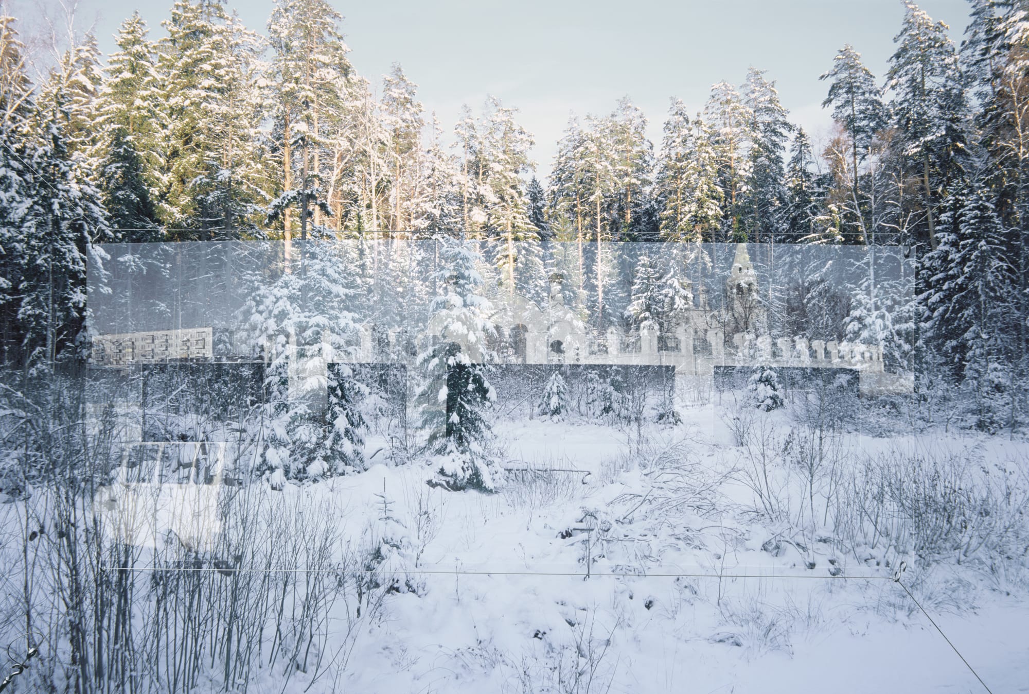 Oleg Kulik Message #7, 2003