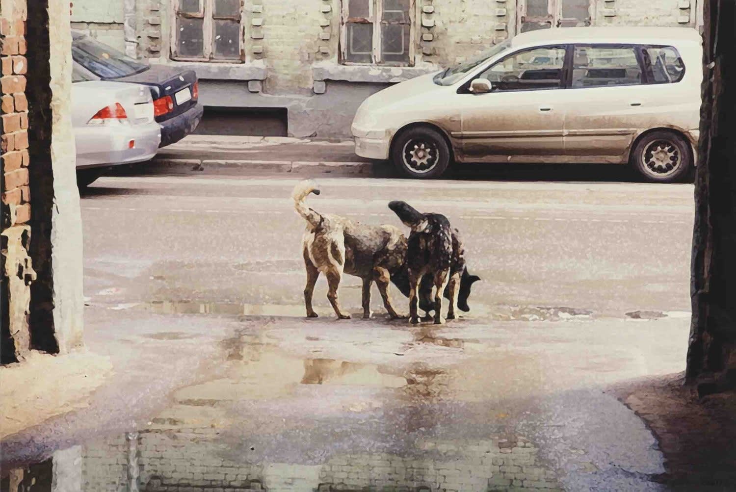 Semyon Faibisovich Watering Place from the cycle «Dog's life», 2011