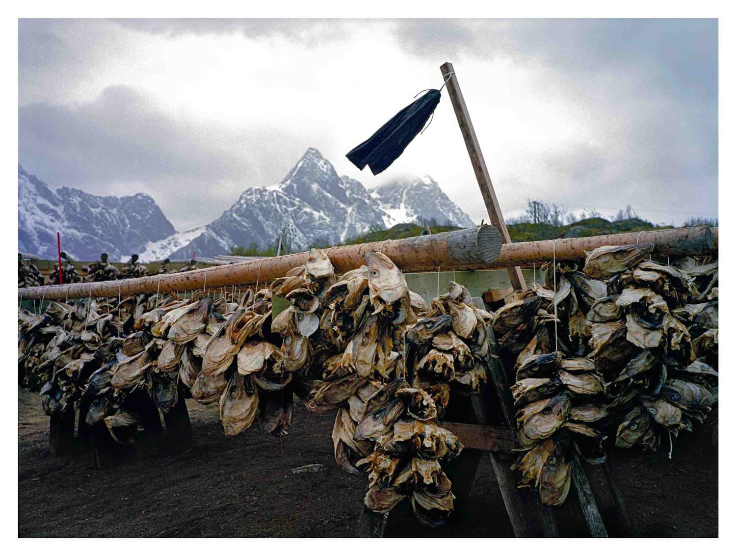 Sergey Bratkov Pirates of The Fiords, 2006-2011