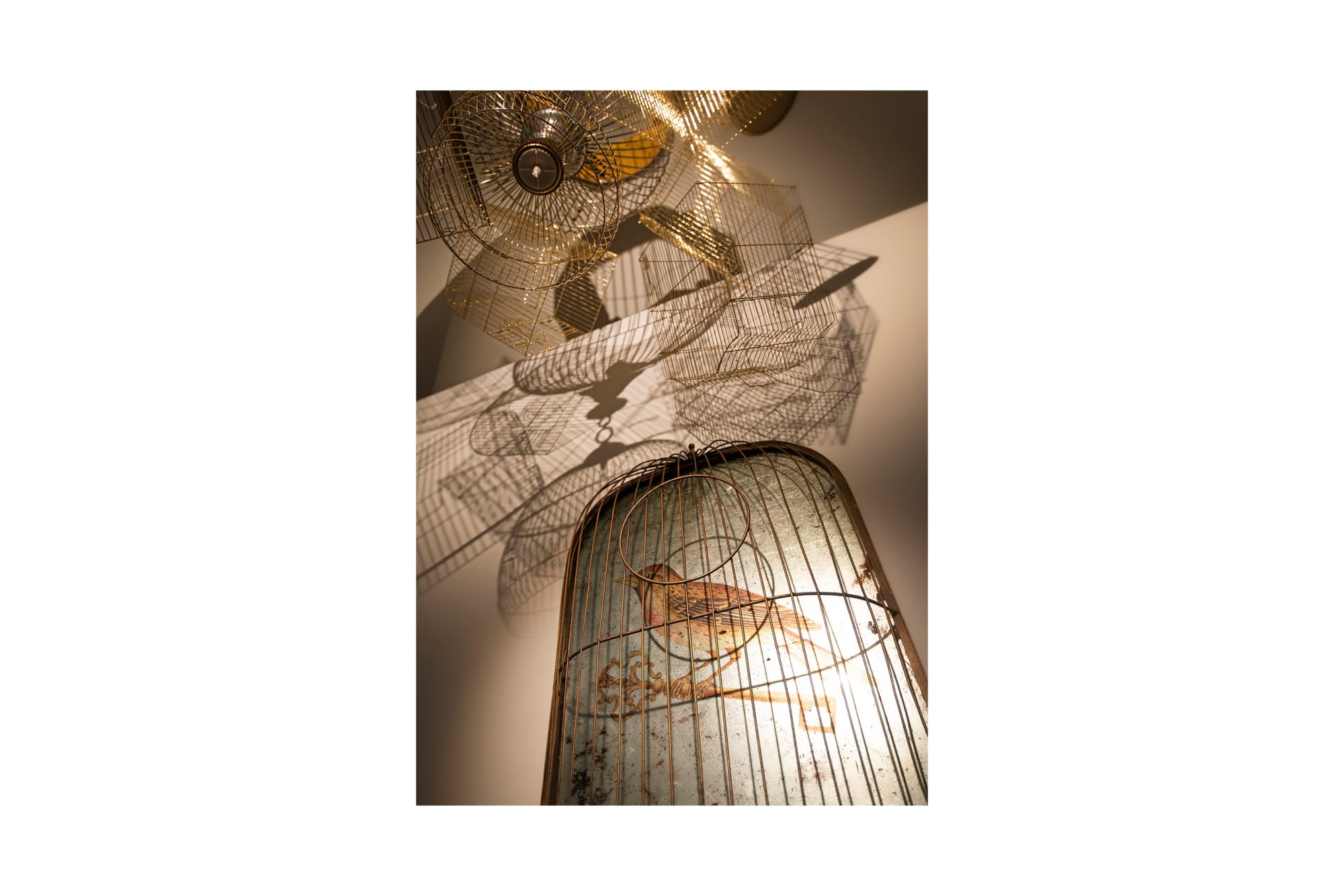 Птичий концерт | The Concert of Birds Вид экспозиции | Exposition View