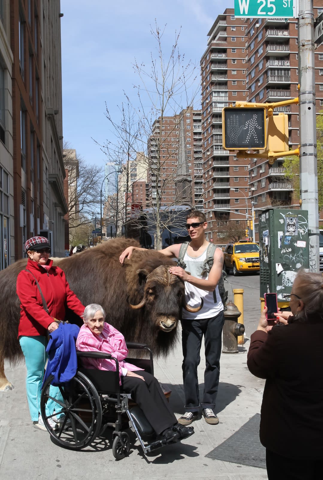 Animal House # 2, Rocca Sonora, Gualdo Cattaneo, Umbria Italy,