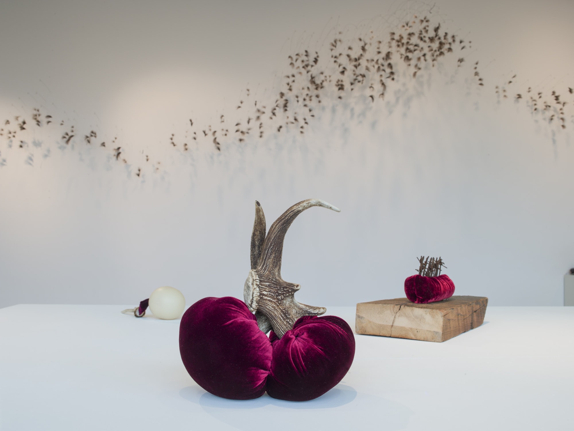 Susie MacMurray: Murmur Installation view