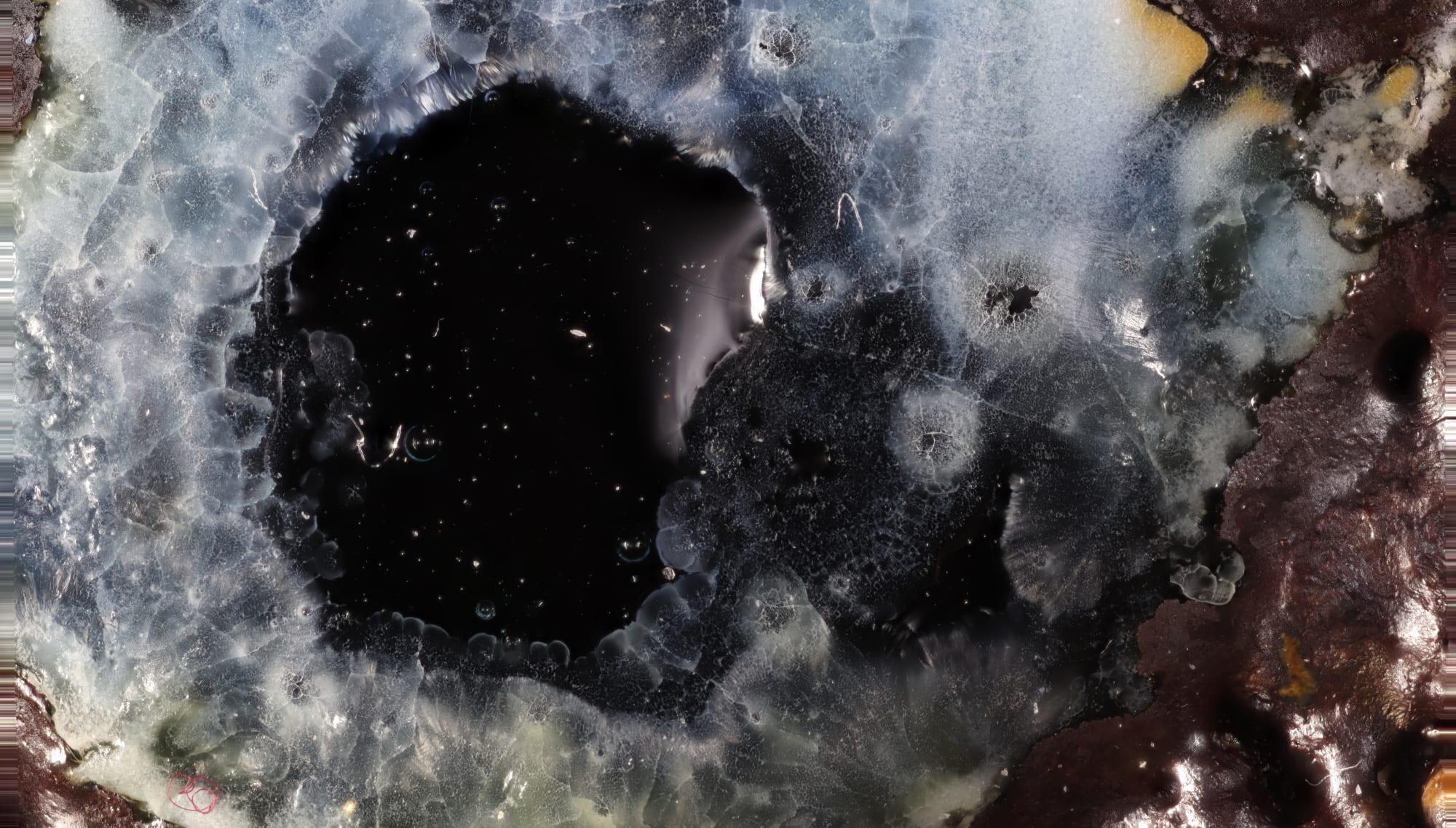 EARTH UNWRAPPED: 15 January - 15 June