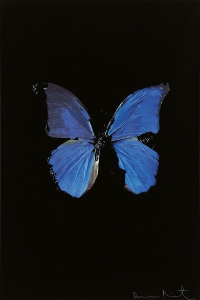 Damien Hirst