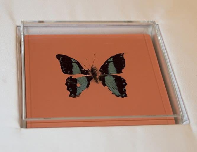 Damien Hirst