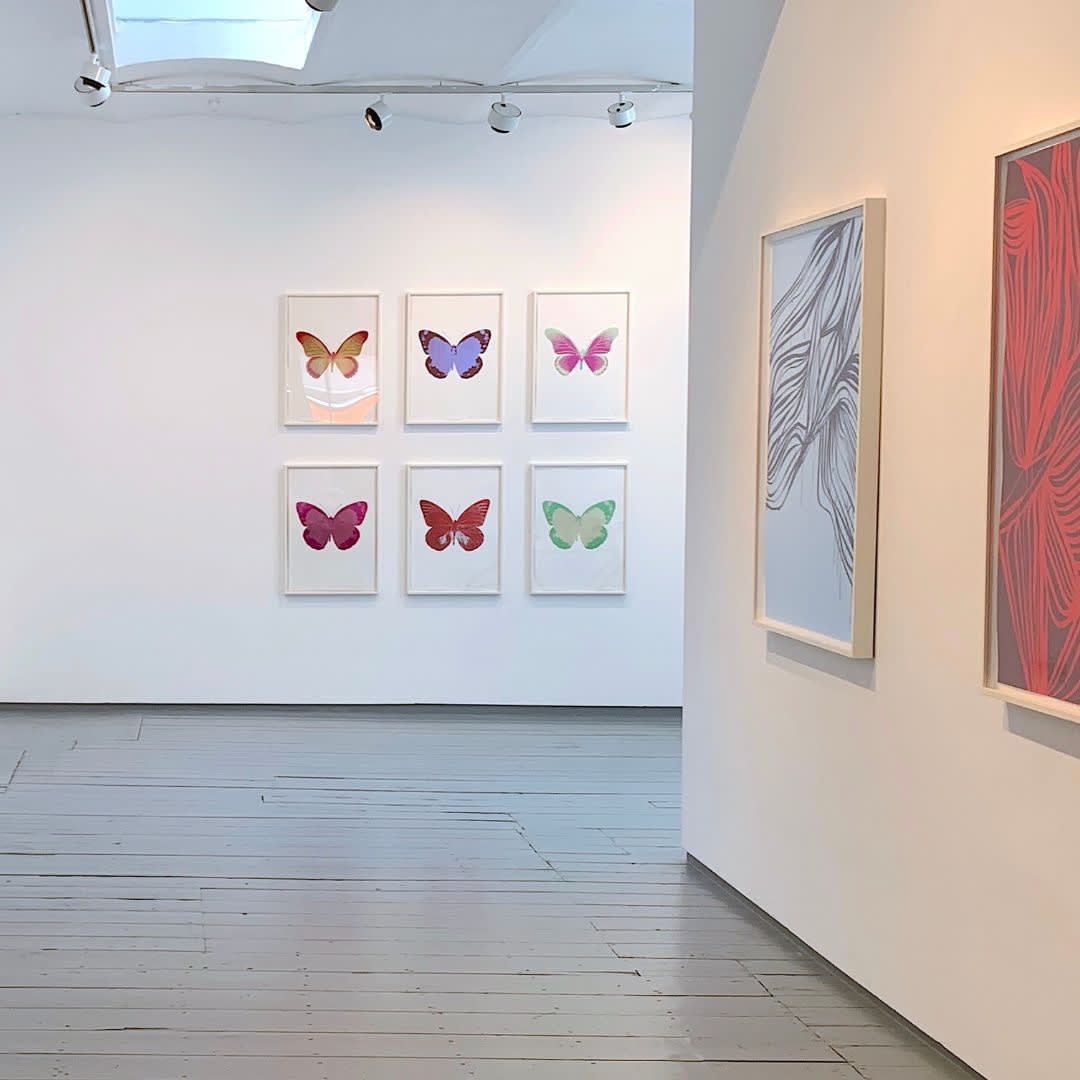 Medium - Lenticular/Woodblock/Etching/Inkjet/Foil block/Screen print