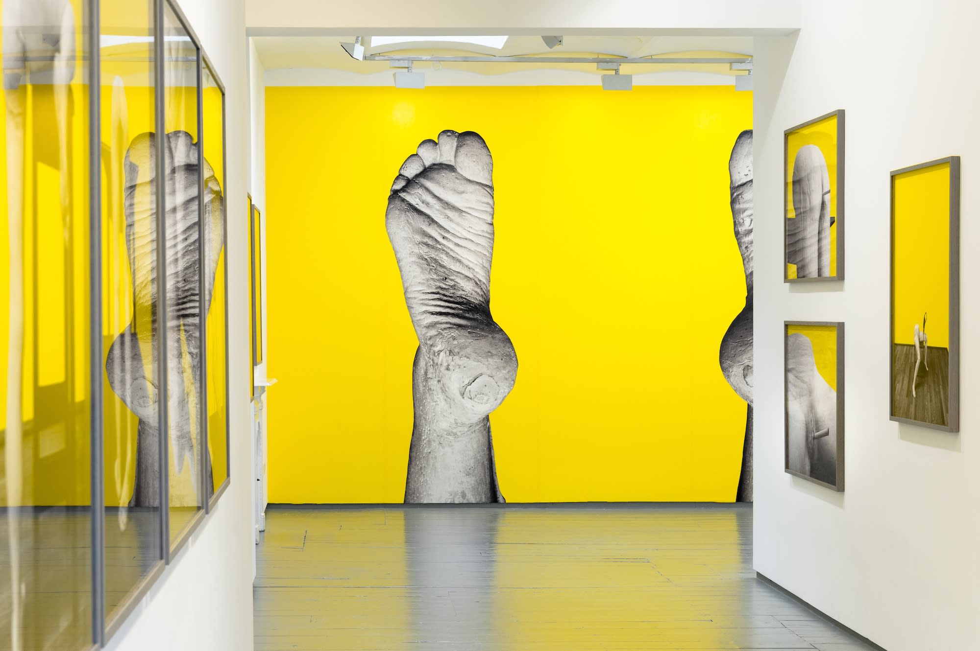 Julian Simmons and Sarah Lucas