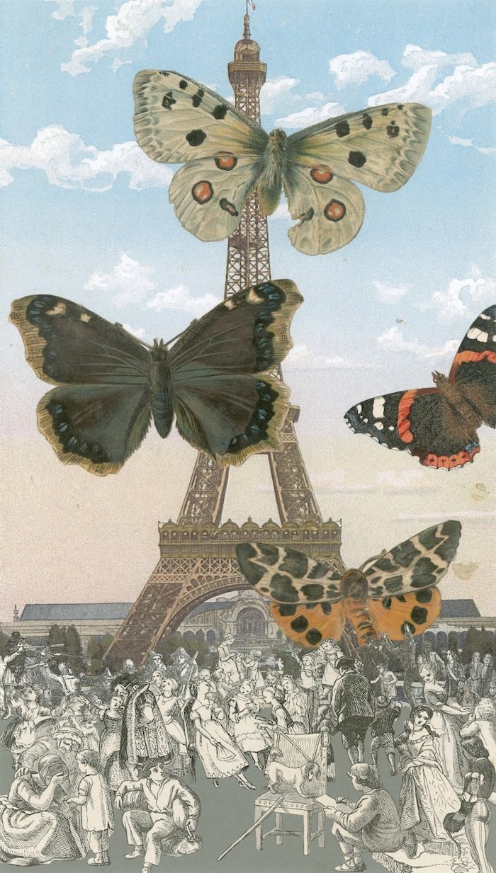 Medium - Lenticular/woodblock/etching/inkjet/foil block/screenprint