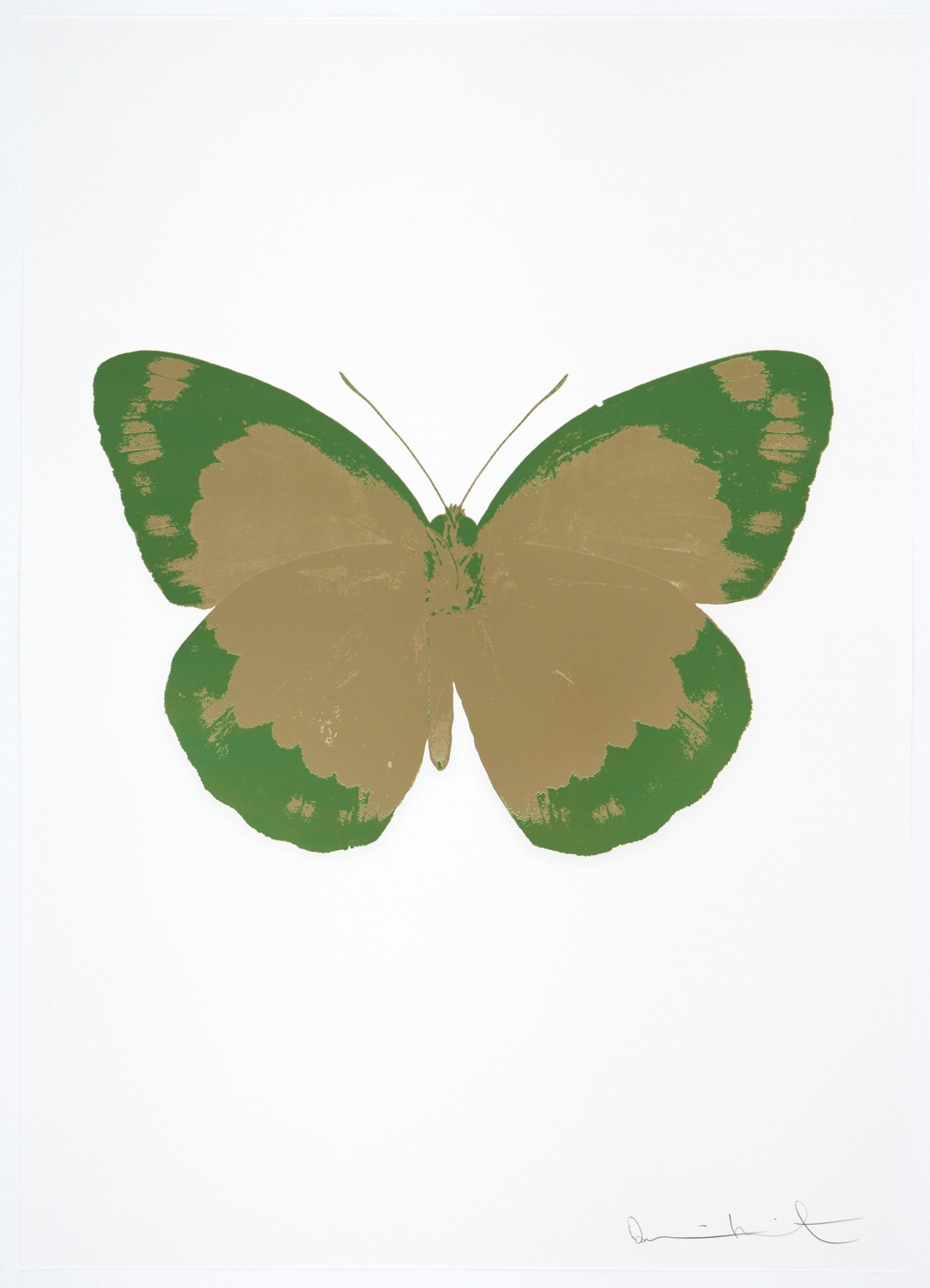 Medium - Lenticular/woodblock/etching/inkjet/foil block/screenprint