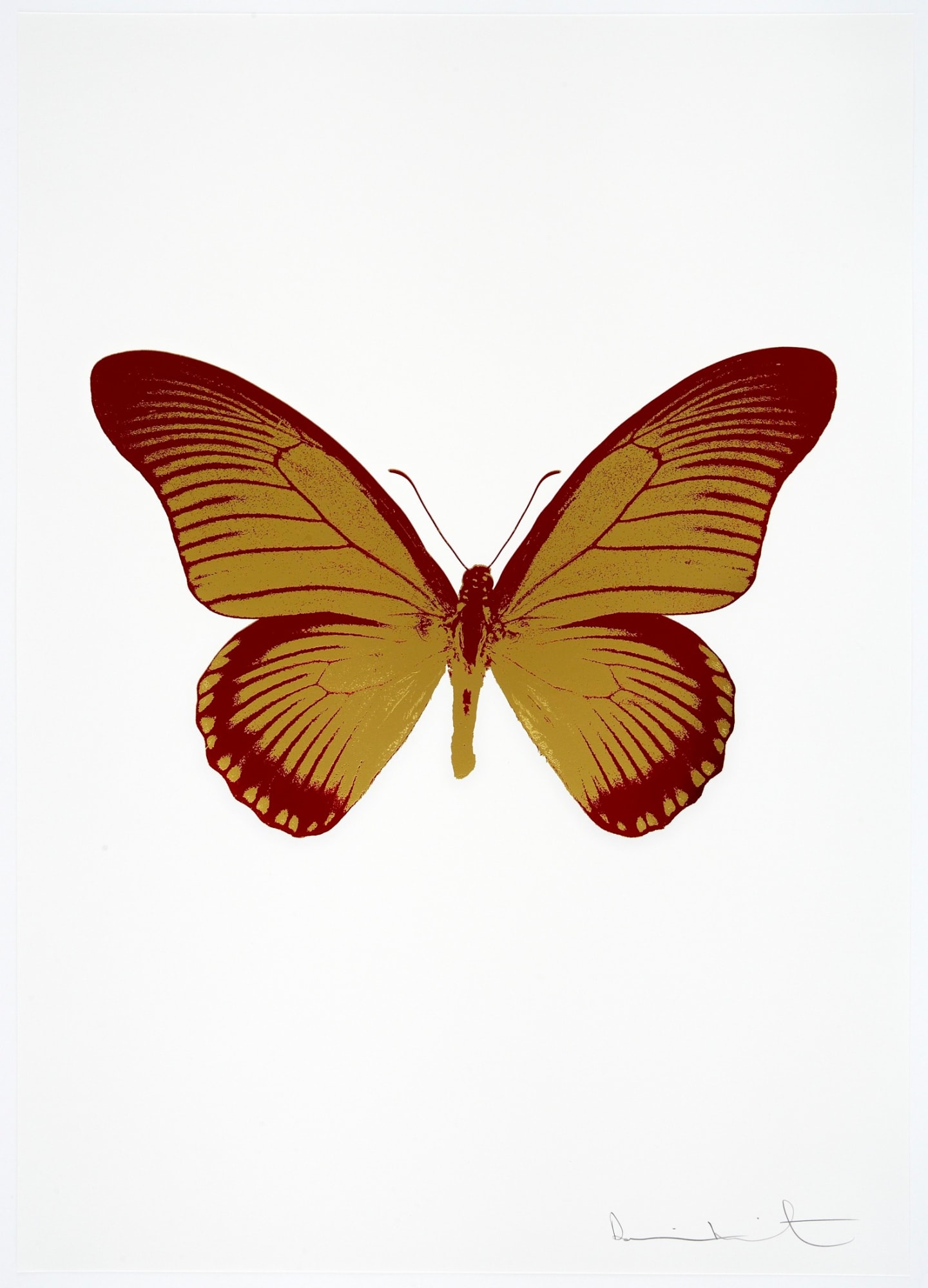 Medium - Lenticular/woodblock/etching/inkjet/foil block/screenprint